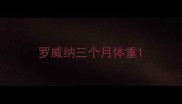 罗威纳三个月体重