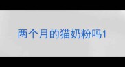 两个月的猫奶粉吗