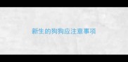 新生的狗狗应注意事项