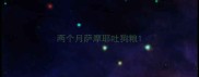 两个月萨摩耶吐狗粮