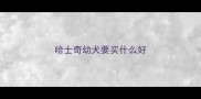 哈士奇幼犬要买什么好