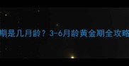 德牧犬最佳训练期是几月龄3-6月龄黄金期全攻略及科学训练指南