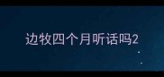 边牧四个月听话吗