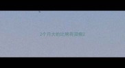 2个月大的比熊有泪痕