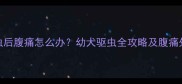 小狗驱虫后腹痛怎么办幼犬驱虫全攻略及腹痛处理指南