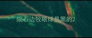 陨石边牧眼球是黑的