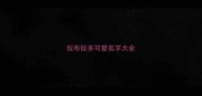 拉布拉多可爱名字大全