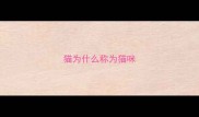 猫为什么称为猫咪