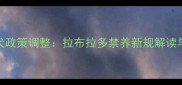 东营市养犬政策调整拉布拉多禁养新规解读与饲养指南