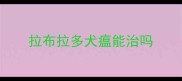 拉布拉多犬瘟能治吗