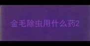 金毛除虫用什么药