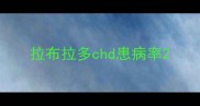 拉布拉多chd患病率