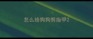 怎么给狗狗剪指甲