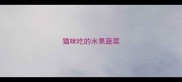 猫咪吃的水果蔬菜