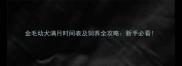 金毛幼犬满月时间表及饲养全攻略新手必看