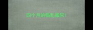 四个月的猫乱撒尿