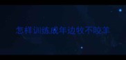 怎样训练成年边牧不咬羊