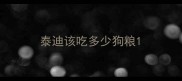 泰迪该吃多少狗粮
