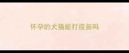 怀孕的犬猫能打疫苗吗