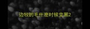 边牧的毛什麽时候变黑