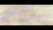 泰迪贵宾犬多少钱