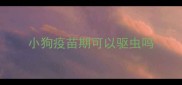 小狗疫苗期可以驱虫吗