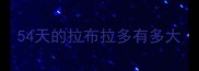 54天的拉布拉多有多大