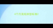 4个月美短体型标准