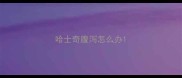 哈士奇腹泻怎么办