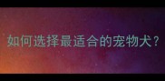 金毛寻回犬VS拉布拉多如何选择最适合的宠物犬附饲养指南与市场分析