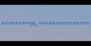 金毛犬寿命与养护指南如何科学延长金色帝王的陪伴时光