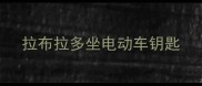 拉布拉多坐电动车钥匙