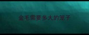 金毛需要多大的笼子