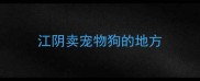 江阴卖宠物狗的地方