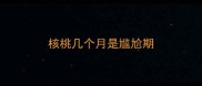 核桃几个月是尴尬期