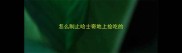 怎么制止哈士奇地上捡吃的