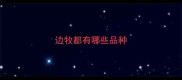 边牧都有哪些品种