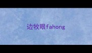边牧眼fahong