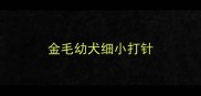 金毛幼犬细小打针