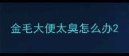 金毛大便太臭怎么办