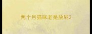 两个月猫咪老是放屁