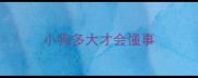 小狗多大才会懂事