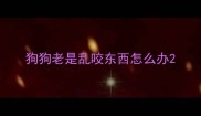 狗狗老是乱咬东西怎么办
