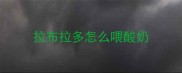 拉布拉多怎么喂酸奶