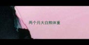 两个月大白熊体重