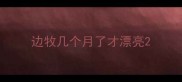 边牧几个月了才漂亮