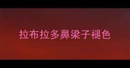 拉布拉多鼻梁子褪色