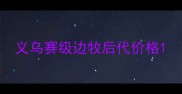 义乌赛级边牧后代价格