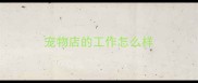 宠物店的工作怎么样