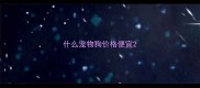 什么宠物狗价格便宜